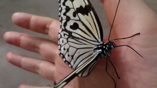 美ら海とセットで！なかなか楽しいですよー