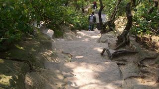 天気の良い日にハイキングで