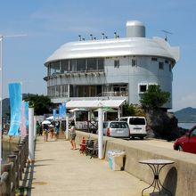 日本ドルフィンセンター 