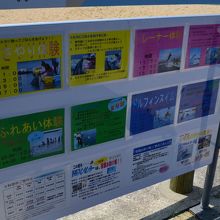 日本ドルフィンセンター 