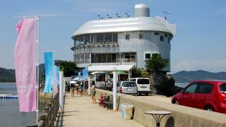 イルカと一緒に泳げる施設