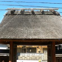 恋塚寺 (こいづかでら)の光景