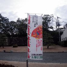 玉藻公園のお堀で泳ぐタイに給餌して「鯛願成就」