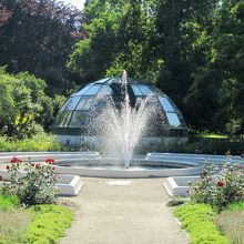 噴水が涼しげです！