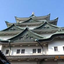 近くから見ると、凄い迫力!