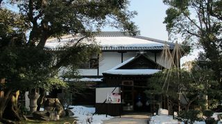 長浜盆梅展の会場