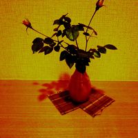 二人で使うにはもったいないほどの広いお部屋です