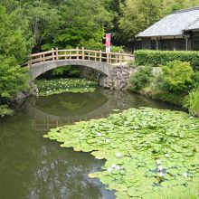 弘法大師ゆかりの瑠璃宝の池（源平合戦ゆかりの血の池）