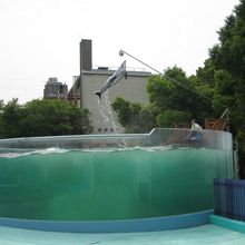 新屋島水族館　３６０度のアクリル水槽