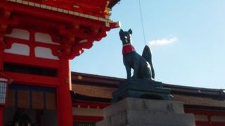 稲荷も多いけど、きつねもいっぱい