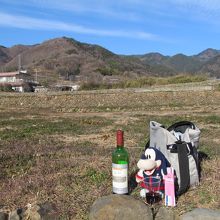 軽く一杯やれなの！