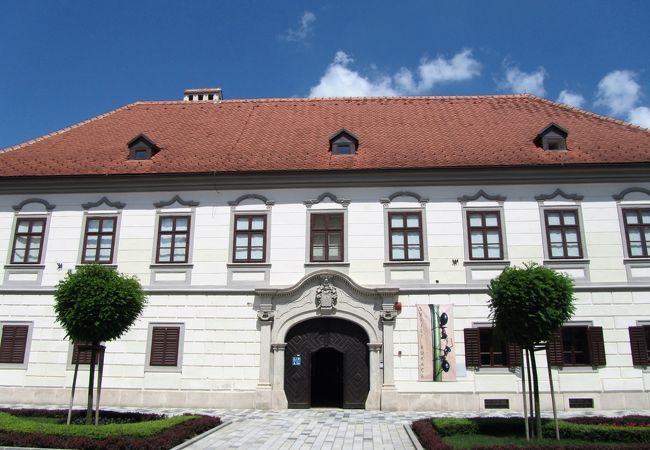 ヴァラジュディン市立博物館（昆虫部門）