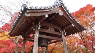 茅葺き屋根と紅葉のコラボ