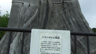 淡路ハイウェイオアシスに隣接！