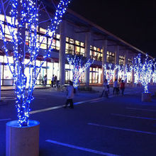 夜になるとイルミネーションが綺麗に輝きます