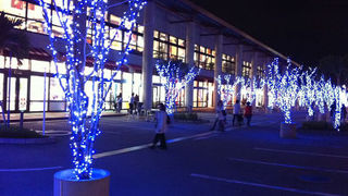 リニューアルしてお店が増えてました