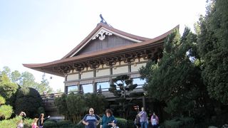 日本食が食べれる！