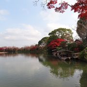 嵐山の絶景ポイント。穴場！