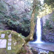 ベストスポット