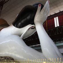 うなじも色っぽい？