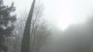 駐車場は5.5ユーロ，道沿いに駐車，結構こんでいる