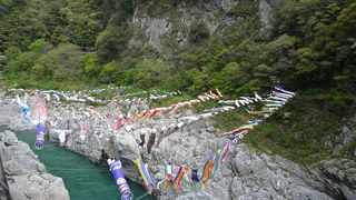 車窓だけではもったいない