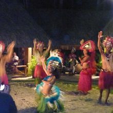 タヒチアンダンスショー