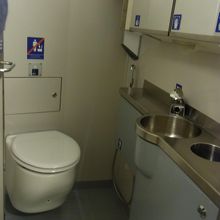 トイレは２種類。もう一つは飛行機と同タイプ。