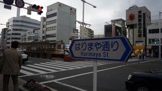 やっと見つけました