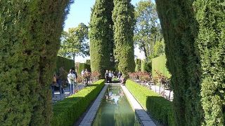 の～んびりお散歩気分♪