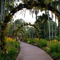 シンガポール植物園