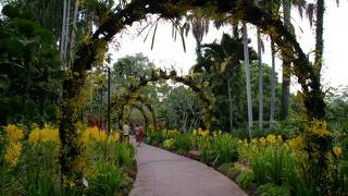 シンガポール植物園