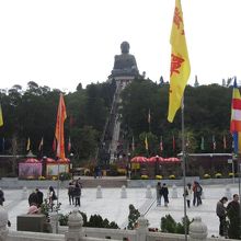 屋外大仏を見上げる