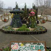 お雛様に見立てた花のトピアリー