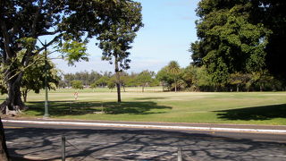 ローカル癒しのスポットです。