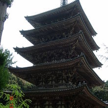 近くから見ると、圧巻!