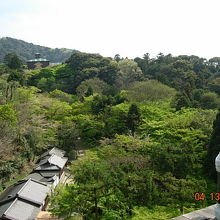 紅葉の時期は何十倍もキレイでしょうね!