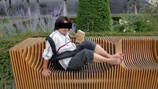 ベンチが印象的