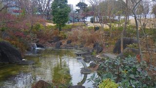 都心のオアシスです（檜町公園）