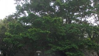 急な階段を登ります