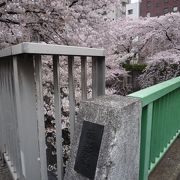 面影橋駅の周りには、神田川と桜が綺麗です。
