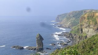 男のシンボルに良く似ている