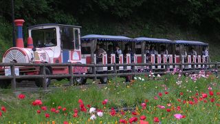 園内をミニSLで移動します。