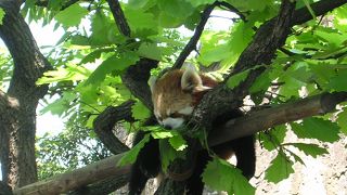 小さめですが、子ども連れならぜひ