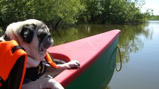 屈斜路湖でカヌーを楽しむ！