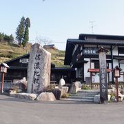 見事な花桃と駒つなぎの桜