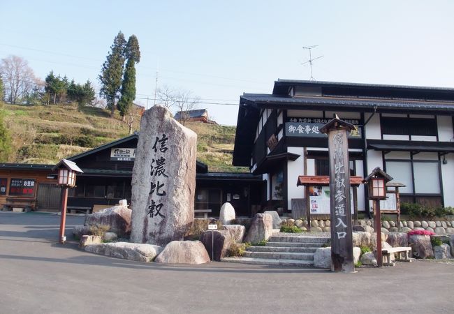 見事な花桃と駒つなぎの桜