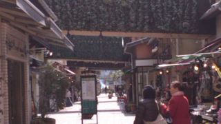 アラモアナチックで気に入りました