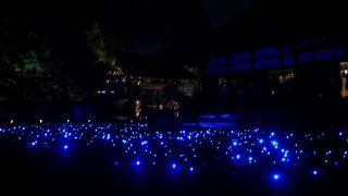 庭のライトアップ