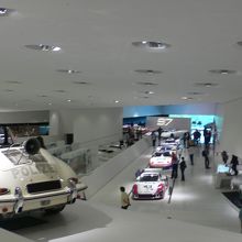 いろいろいます。